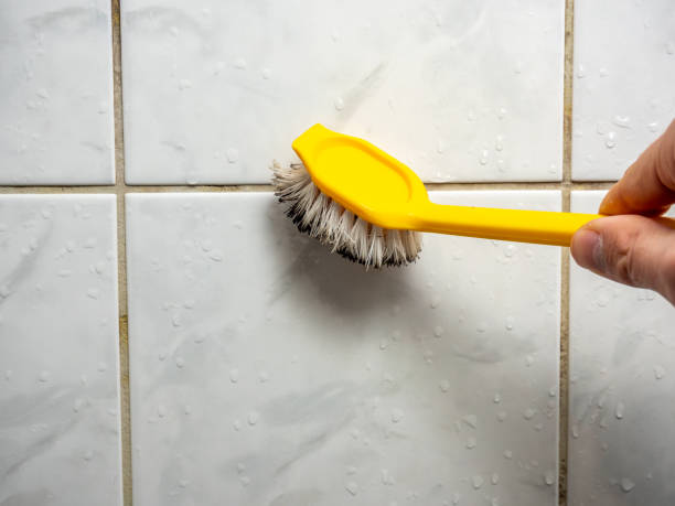 Best Emergency Mold Removal  in Bonnie Brae, IL