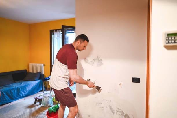 Best Crawl Space Mold Removal  in Bonnie Brae, IL